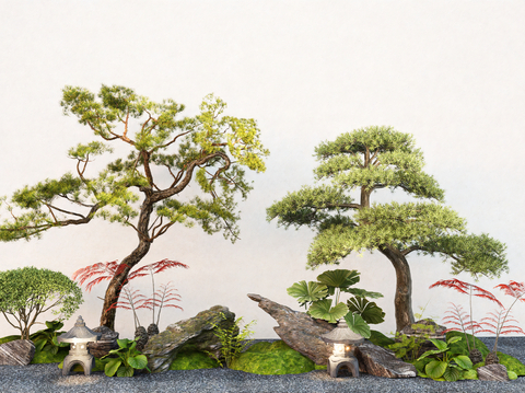 Landscape Pine Micro Terrain Garden Tree