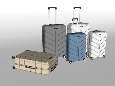 Luggage luggage case