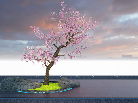 Modeling Peach Tree Sakura Tree