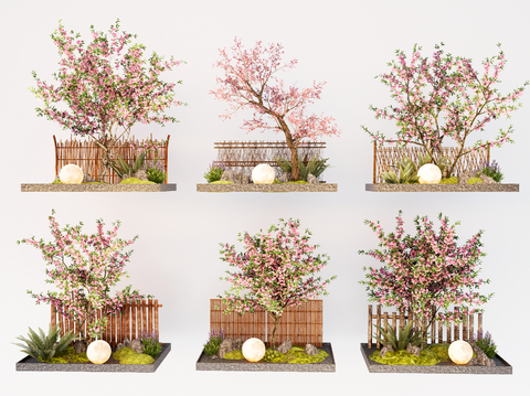 Cherry Tree Flower Tree Landscape Tree