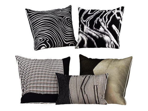 Modern Cushion Pillow