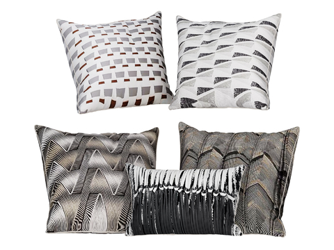 Modern Cushion Pillow