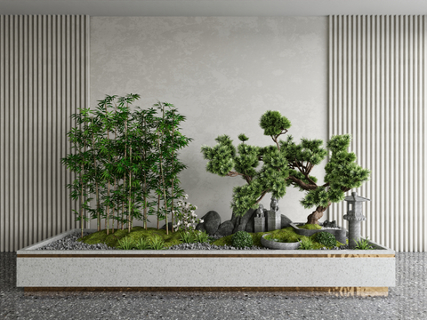 Modern Indoor Landscape Plants