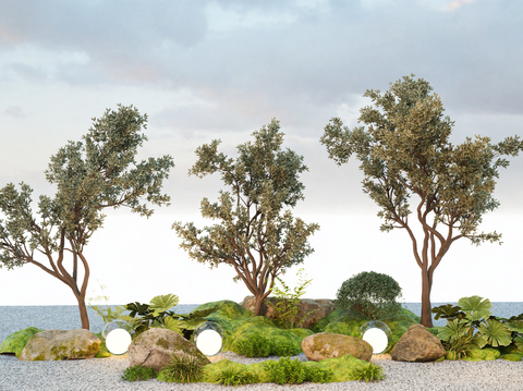 Creative Green Landscaping Arbor Olive Tree Landscape Tree