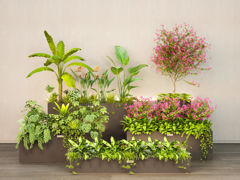 Modern outdoor plant flower box