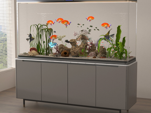 Aquarium goldfish Glass fish tank