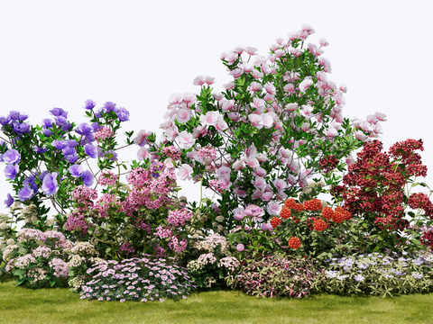 shrubs flowers flowers flower glasses