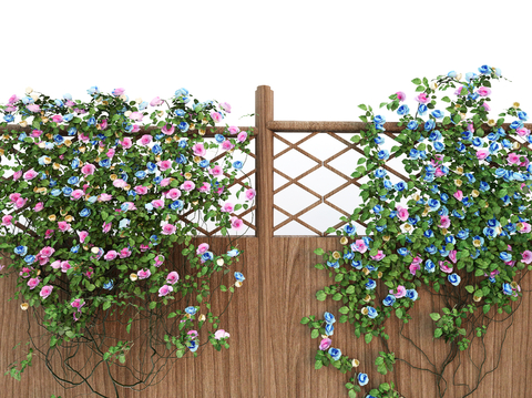 Modern Green Plant Climbing Vine Rose Vine