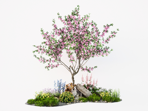 landscape tree flower tree peach tree courtyard tree