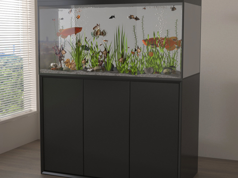 Modern Fish Tank Glass Fish Tank Aquarium