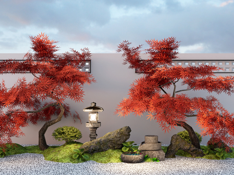 New Chinese Landscape Tree Maple Garden Tree