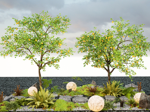 Orange Tree Lemon Tree Plant Pile