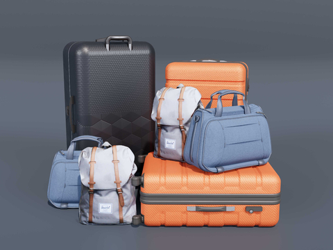 Suitcase travel bag gym bag