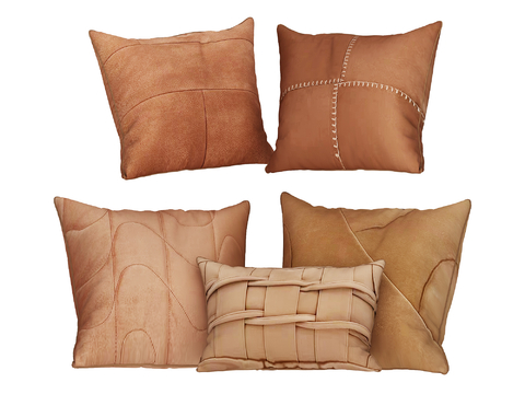 Modern Cushion Pillow