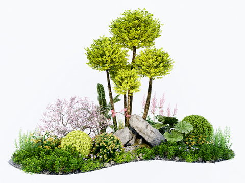 modern tree shrub ball flower border green plant