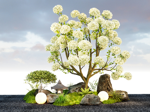 Chinese Wood Hydrangea Flower