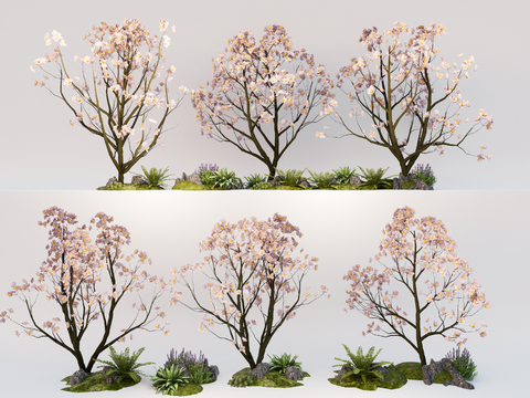 Tree Peach Tree Cherry Tree Flowering Plants Landscape Courtyard Tree