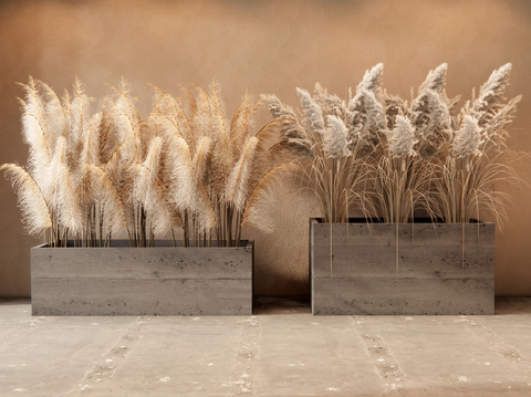 Modern reed dried flower wheat ear flower flower box