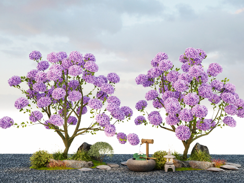 Landscape Tree Purple Flower Suzuki Hydrangea