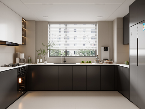 Modern minimalist kitchen