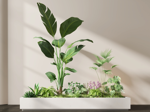 Indoor landscaping green plant flower box