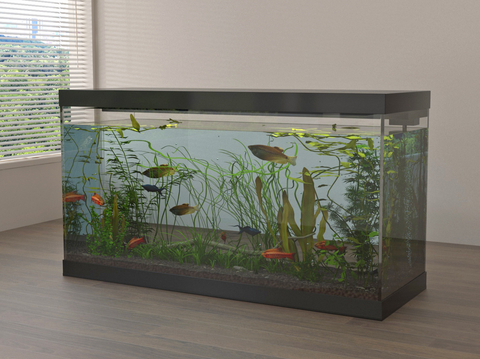 Fish tank aquarium ornamental fish