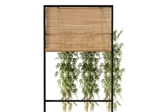 Curtain Rolling Bamboo Curtain Bamboo Plant