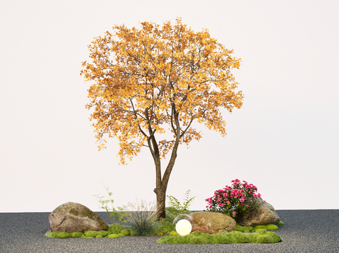 modern tree ginkgo tree modeling tree landscape tree