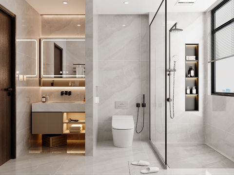 Modern Wet and Dry Separated Toilet Bathroom