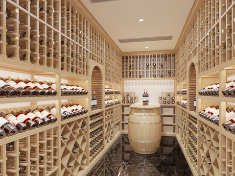 Modern Home Wine Cellar Storage Wine Room Wine Cabinet