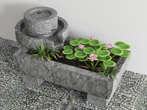 Modern Koi Pond Native Sink Fish Lotus Pond Fish Pond