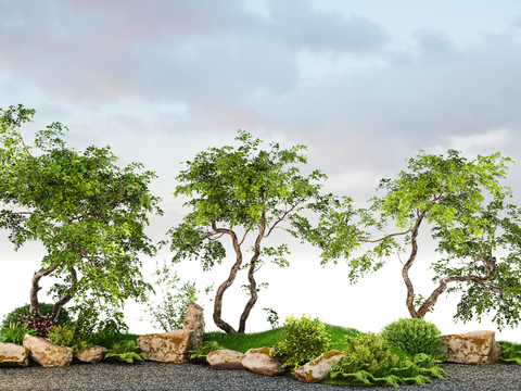 Landscape tree shape