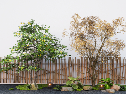 Modern Landscape Garden Tree Model Tree Lemon Tree