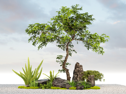 Modern courtyard landscaping stone landscape modeling tree