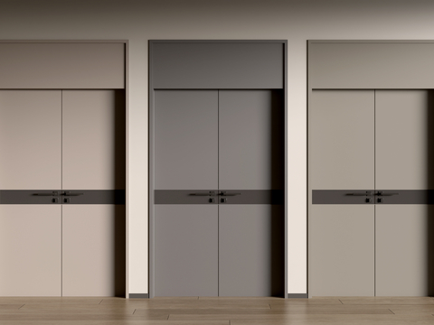 Modern double door entry door unit door