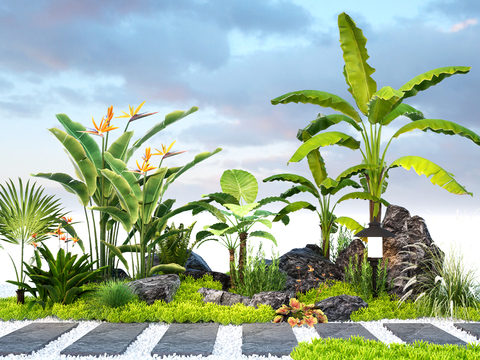 Tropical Plants Palm Trees Courtyard Stone