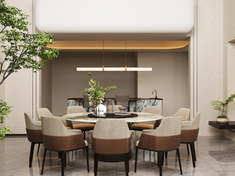 Modern DiningRoom