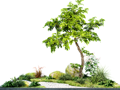 Garden landscape plant modeling tree courtyard tree