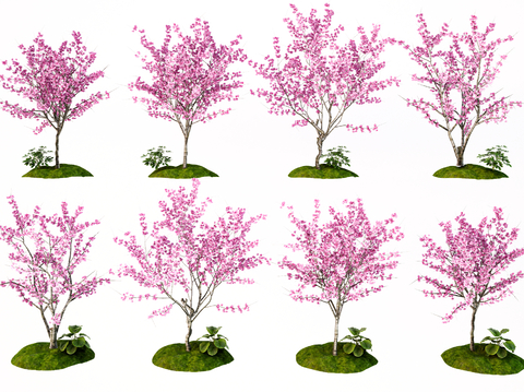 Landscape Cherry Tree Peach Tree Garden Tree