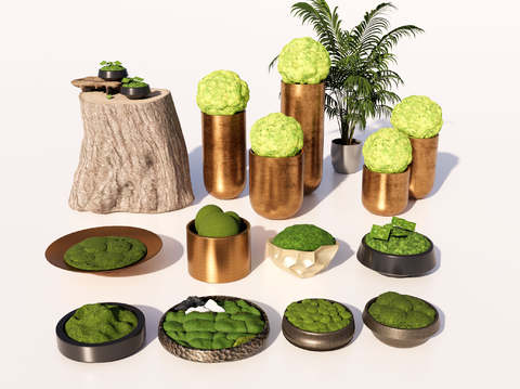 potted moss plant moss ornaments