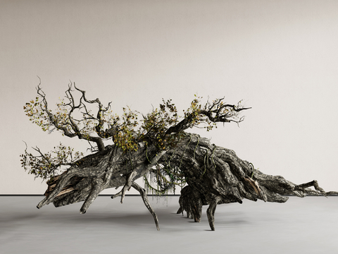 Quiet Dead Tree Sculpture Tree Root Installation Landscape Sculpture