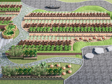 Modern Country Vegetable Farm Crops Vegetable