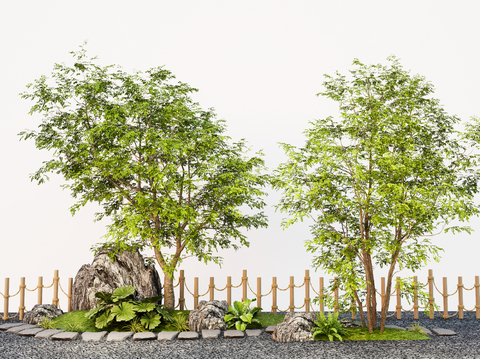 Modern outdoor coral hackberry deciduous tree Garden Landscape tree