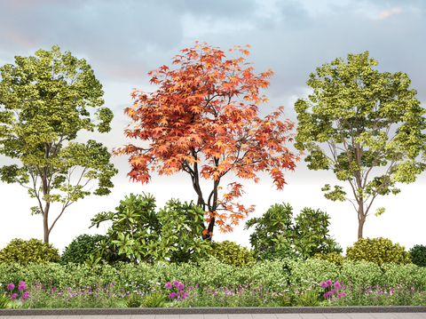 Plants and shrubs in flower border area