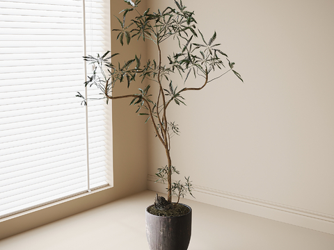 Modern Bonsai Bonsai Green Plant