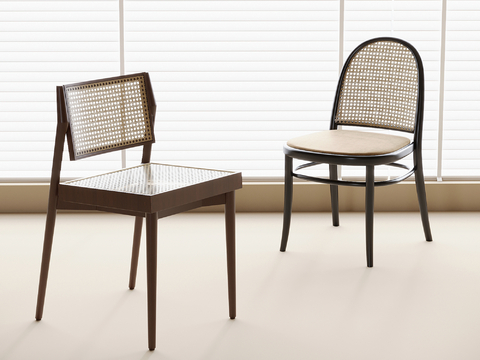 Modern Rattan Chair Dining Chair Tea Chair Book Chair