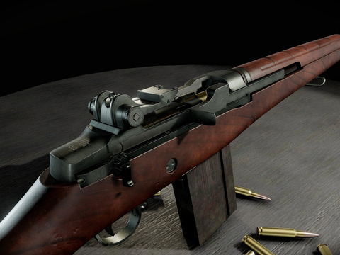 M14 Combat Rifle