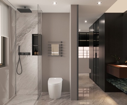 Modern Wet and Dry Separated Toilet Bathroom