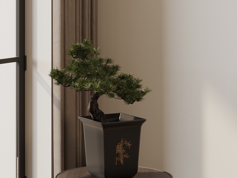 New Chinese-style Green Plant Potted Pok Pine Green Plant Ornaments