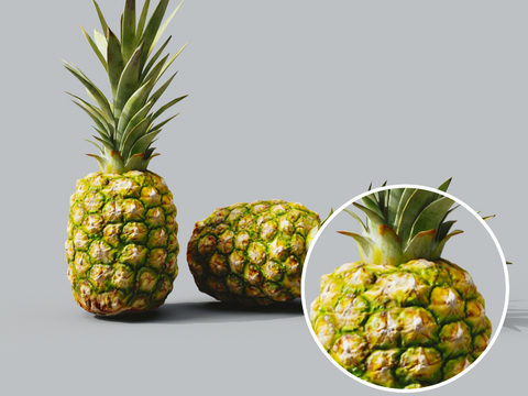 Pineapple fruit